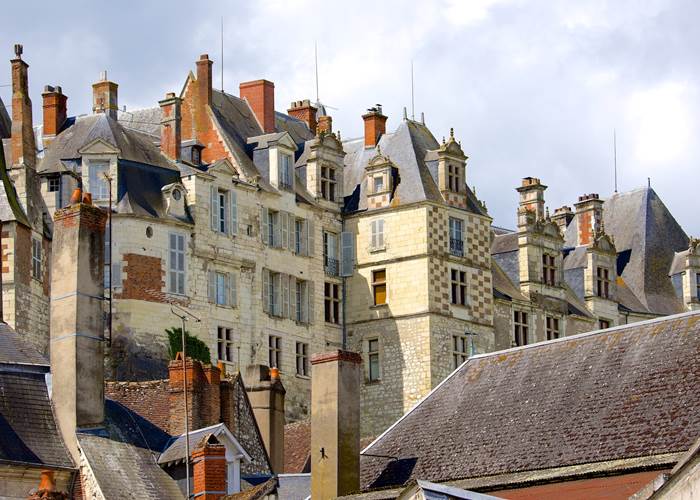 Médiation animale à Saint-Aignan, Loir-et-Cher, 41