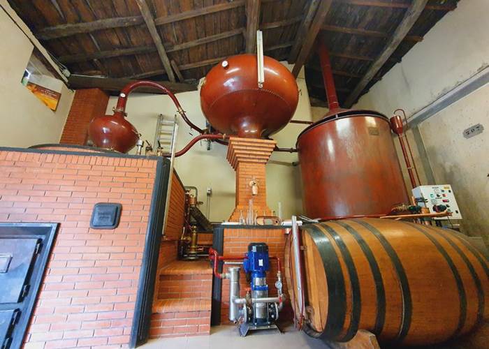 Le Domaine de la Chevalerie - Vignoble Pelletant