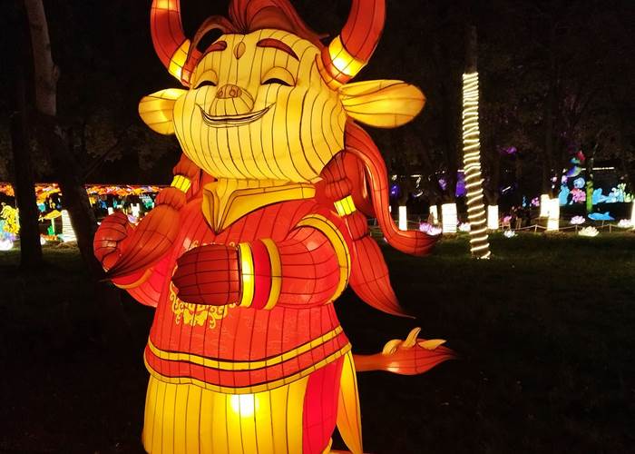 Signe chinois du Buffle