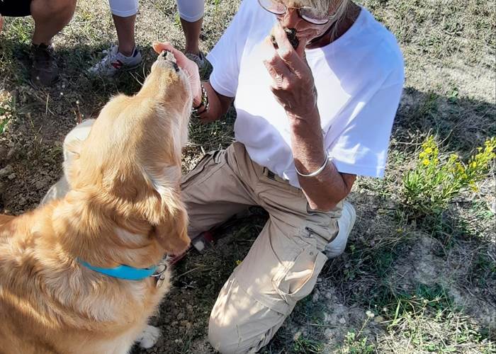 A la découverte de la truffe