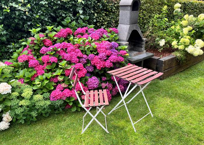 Douceur Printanière