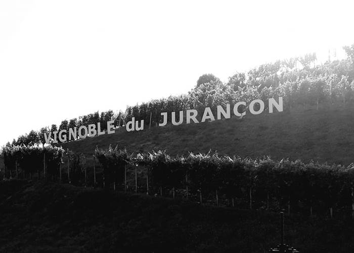 route-du-vignoble vineyards