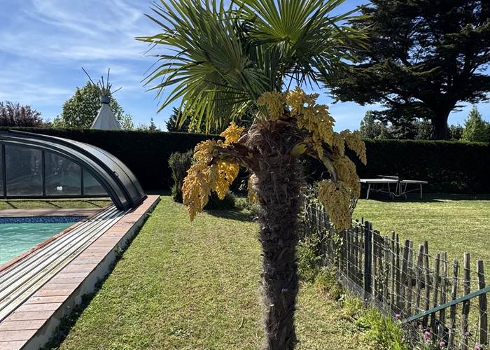 Nouvelle terrasse piscine ouverte coté jardin