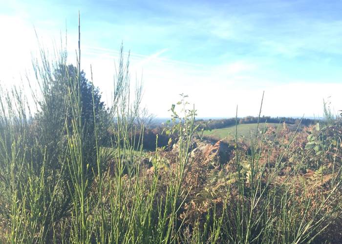 Le site du Mont Gargan
