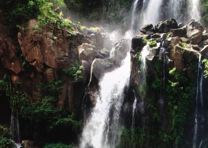 bassin des aigrettes