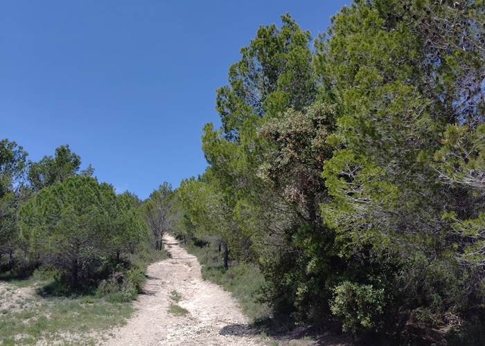 de belles randonnées dans le Minervois