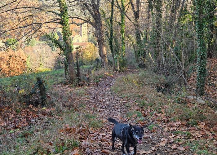 Saint Michel de Cuxa et Kuba