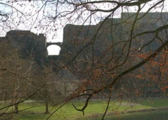 Bouillon-Le château-fort, de profil