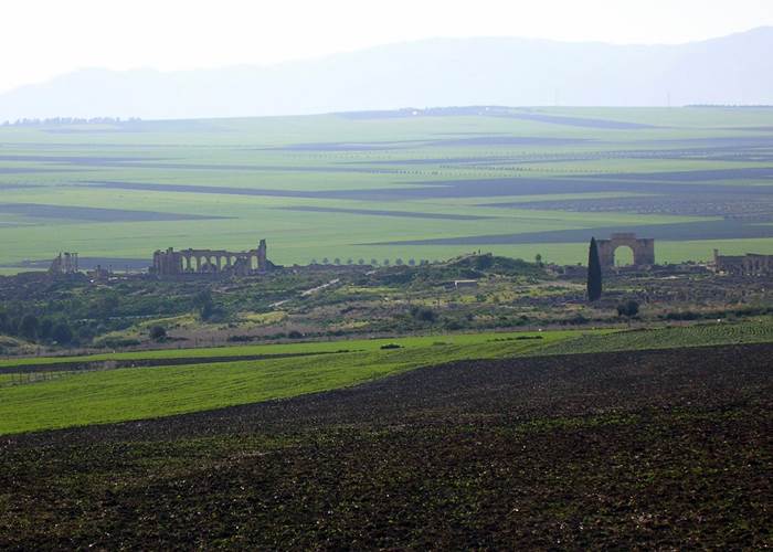 L'arrivée sur le site de VOLUBILIS