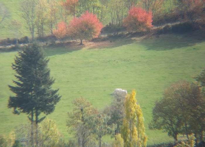 Couleurs d'automne