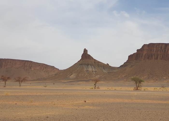 IMG-20250614-WA0077