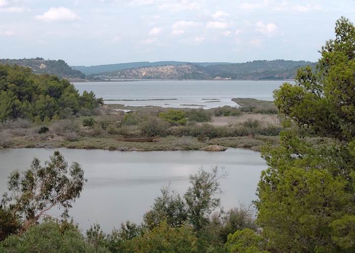 Superbe vue à la Réserve Africaine de Sigean