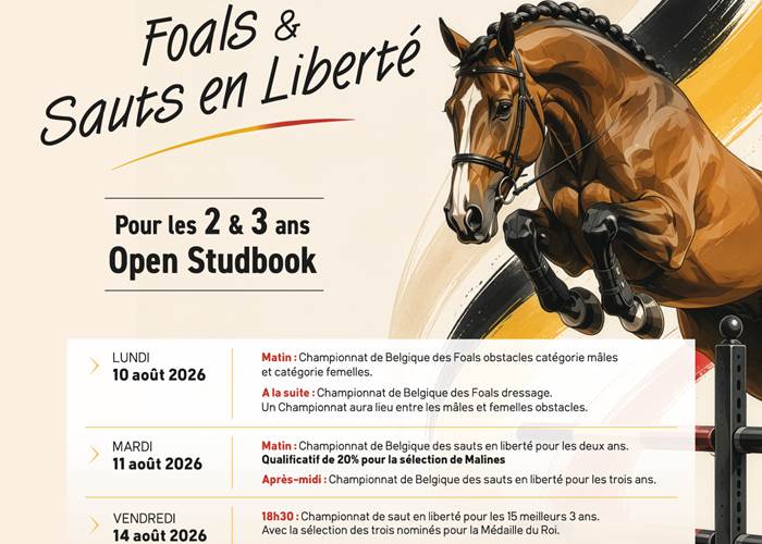 Programme