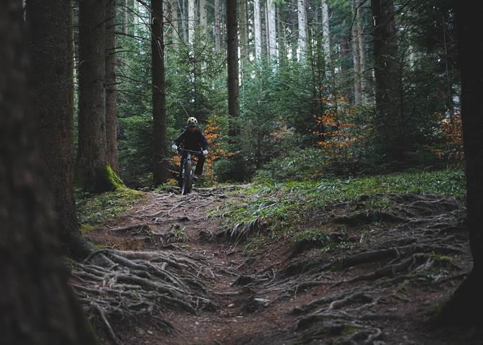 VTT dans les Alpes de Haute Provence
