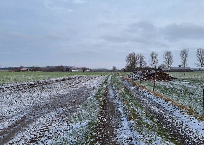 Entre la Reine de Hongrie et les Errauves
