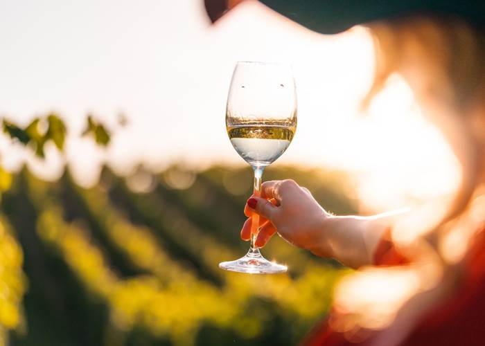 Dégustation dans les vignes