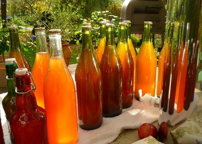 Jus de pomme bio maison