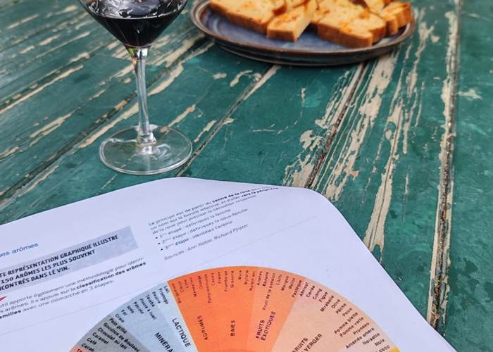 A la découverte des arômes du vins