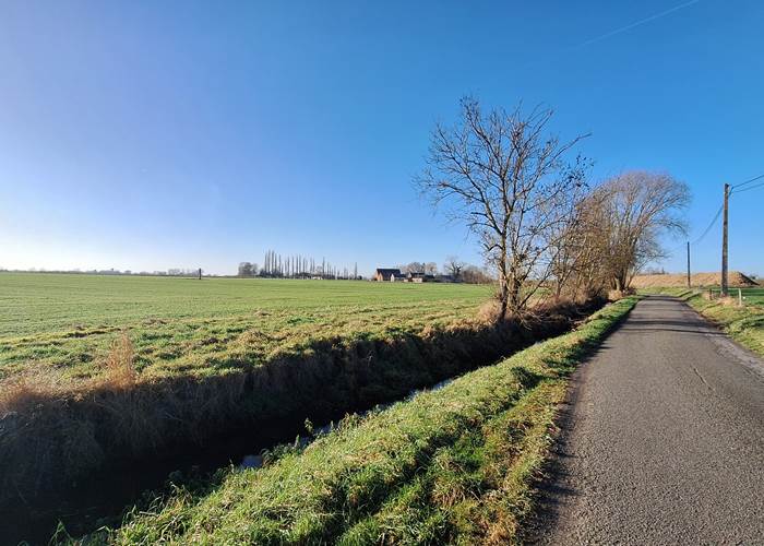 Au fil de la promenade