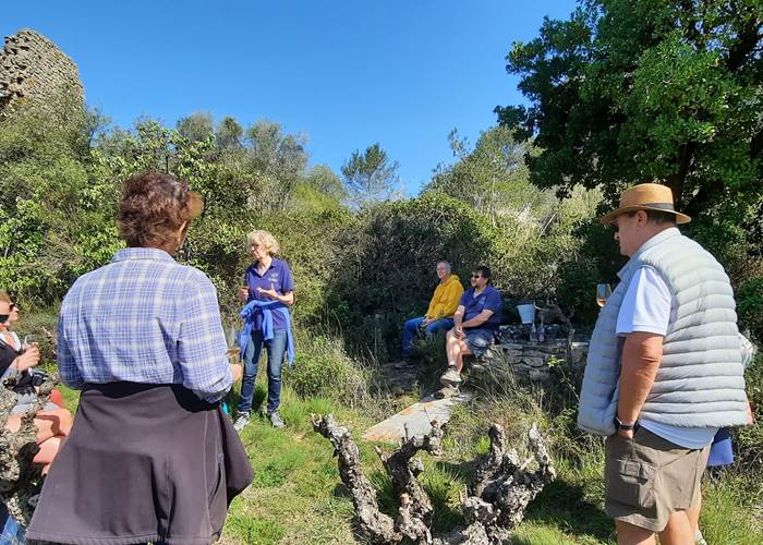Balade dans les vignes de Mailhac