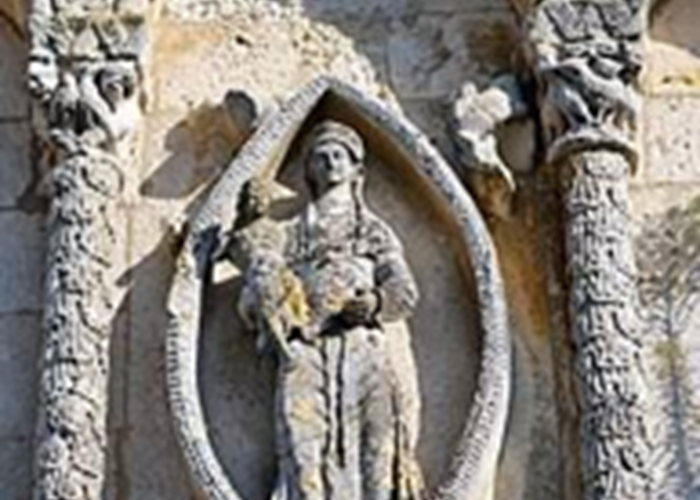 Image12