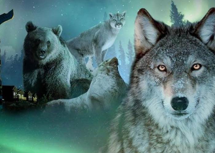 La dernière frontière