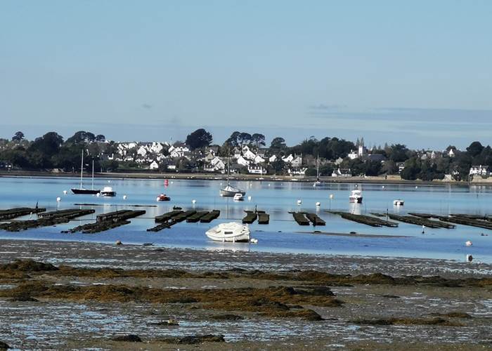 Domaine de Kerizel-Bretagne sud-Maison d'hôtes-golfe du morbihan-ile aux moines