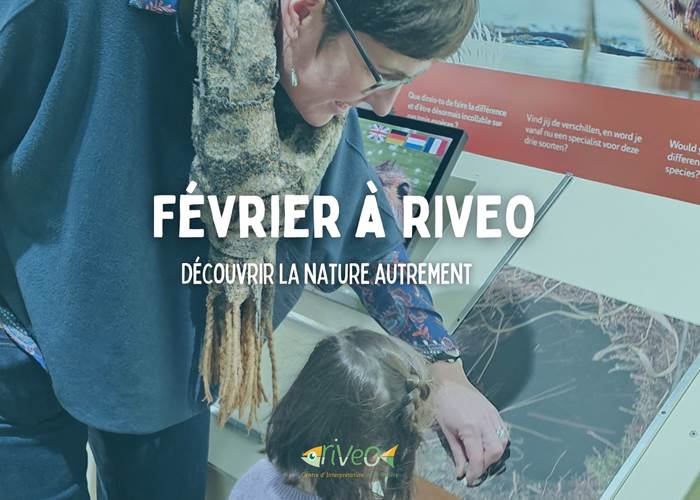 riveo-fevrier-visite-nature-aquariums-exposition-ardenne