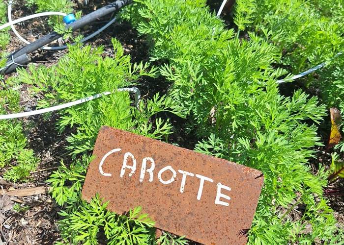 Verger et potager bio