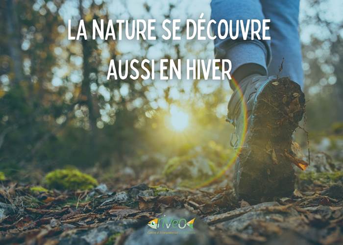 decouverte-nature-ardenne-famille