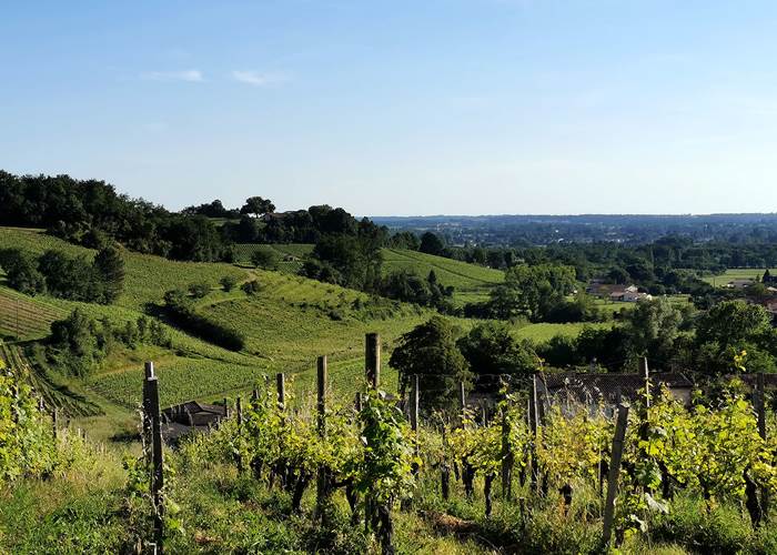 Les jolis coteaux du Fronsadais