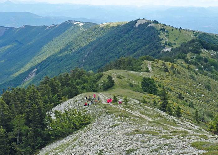 Randonnée sur la montagne de Lure