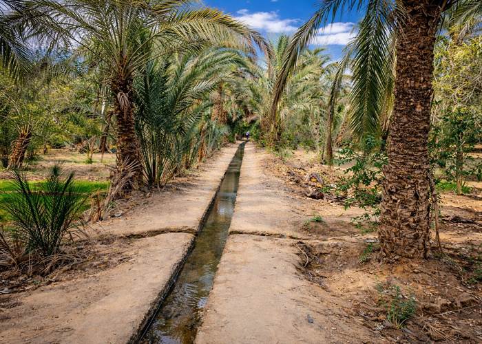 Canal d'irrigation des jardins de la palmeraie