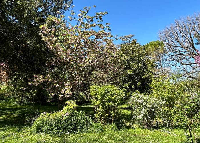 La nature au coeur du Domaine de Lanis