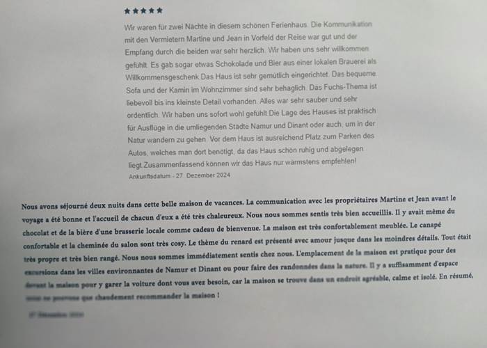 avis hôtes allemands