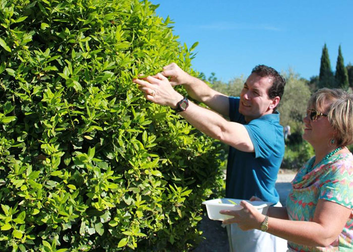 Cours de cuisine au mas des figues