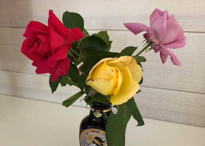 bouquet-roses-multicolores-rose-rouge-rose-jaune-mas-des-anges-soussans.jpg