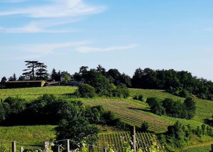 Cotaux de la Dordogne
