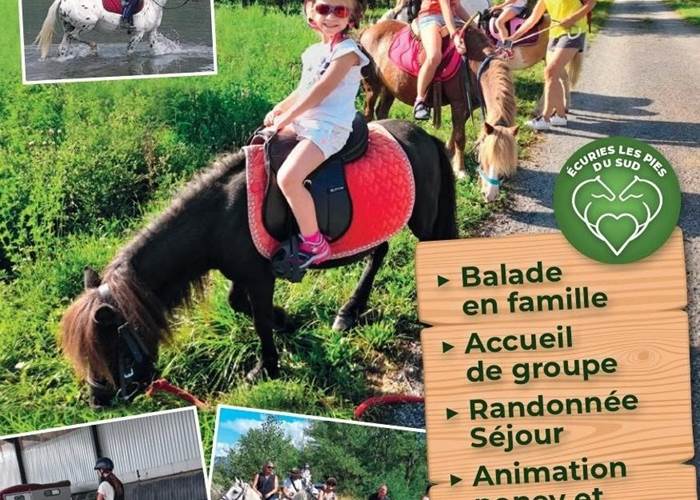 Ecuries les Pies du Sud - Rochebrune