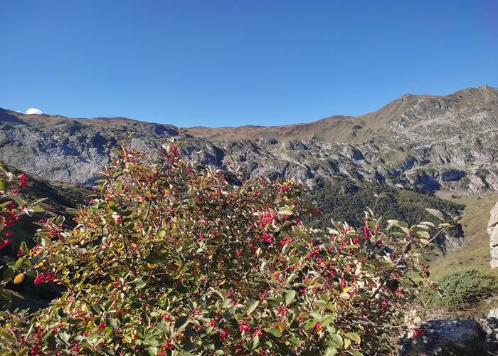 L'été indien dans les Pyrénées Béarnaises