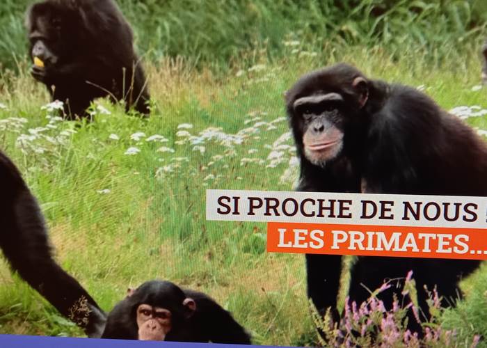 Le Monde Sauvage
