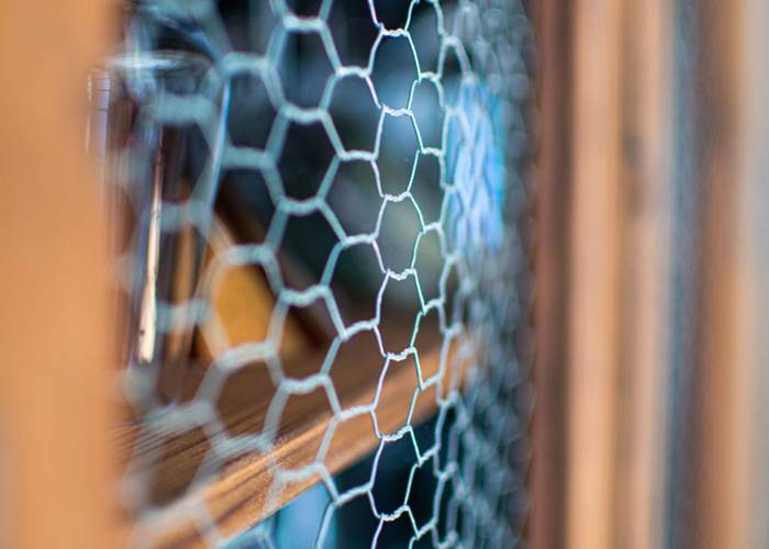 Les chemins de Berdis - Détail intérieur 2