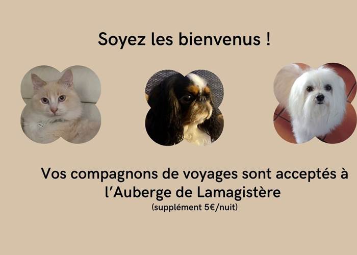 ANIMAUX ACCEPTES