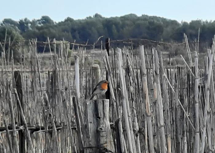 une nature préservée pour un séjour romantique