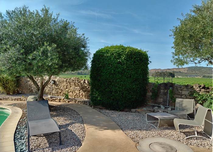 Une vue sur les vignes et le Cayla dont on ne se lasse pas