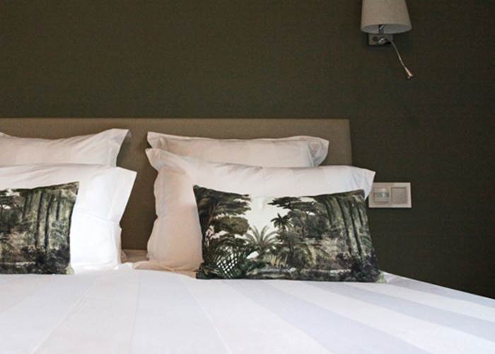 Chambre Cocoon équipée PMR avec Jacuzzi extérieur privatif