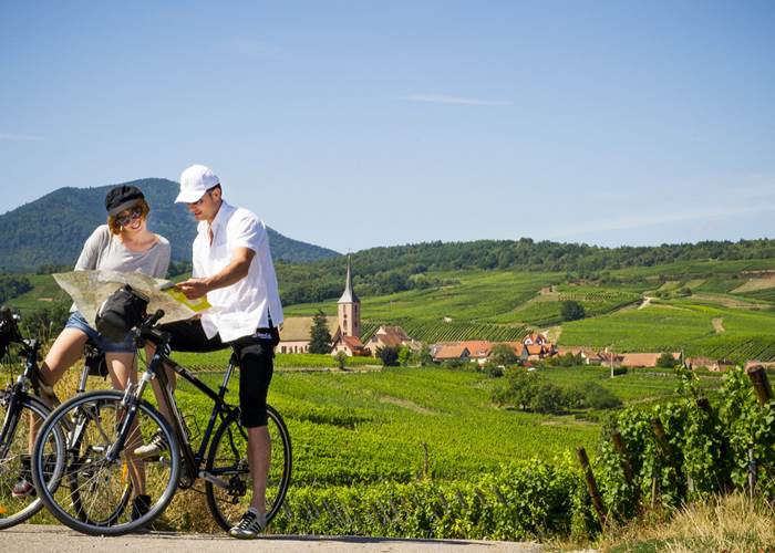 Route du vin, wine road, Weinstrasse