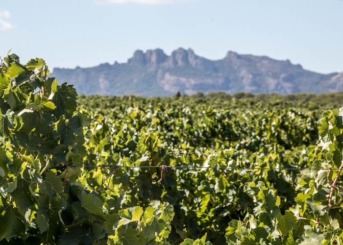 Domaine de Marchandise