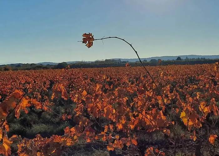 Les superbes couleurs automnales