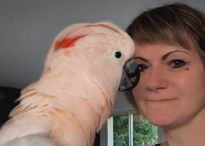 perroquets maison d’hôtes La Flèche expérience unique Sarthe